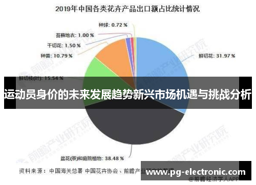 运动员身价的未来发展趋势新兴市场机遇与挑战分析